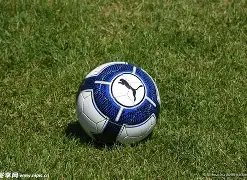 公布,开发路线图,金宝博205bet体育,金宝博188bet体育官网,金宝博188bet体育平台,金宝博188bet体育链接,金宝博188bet体育官方