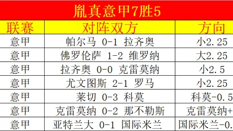 中国男双新加坡大满贯赛夺冠辉煌